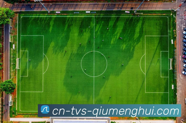 球盟会APP 高清赛事图